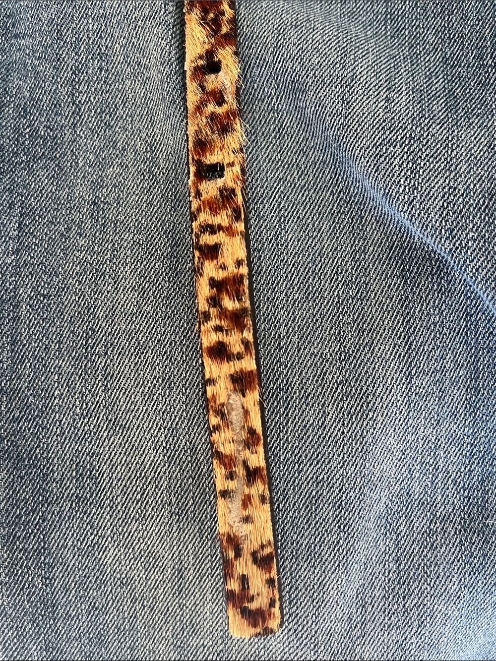 Calvin Klein Leopard Print Belt - Picture 7 of 7